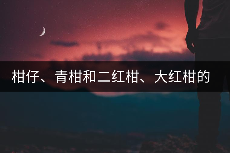 柑仔、青柑和二紅柑、大紅柑的區(qū)別，你可知道？