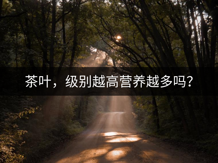 茶葉，級別越高營養(yǎng)越多嗎？