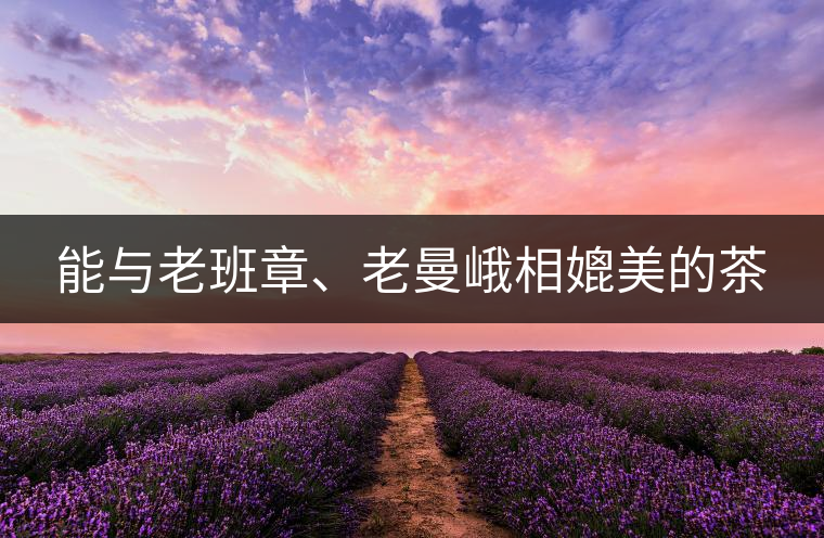 能與老班章、老曼峨相媲美的茶