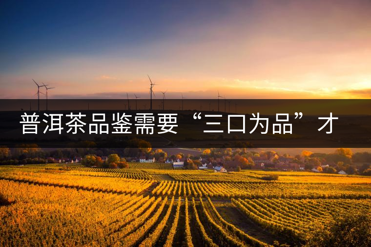 普洱茶品鑒需要“三口為品”才真實，那從哪里入手品鑒呢？