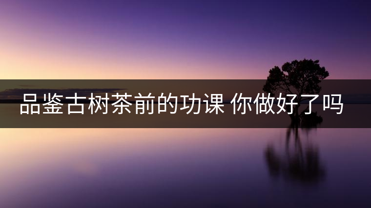 品鑒古樹(shù)茶前的功課 你做好了嗎？