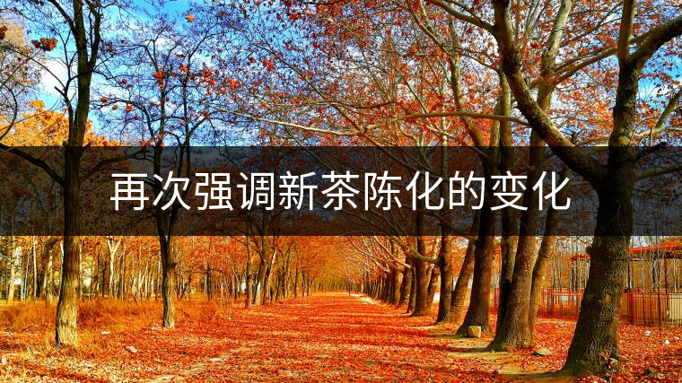 再次強(qiáng)調(diào)新茶陳化的變化