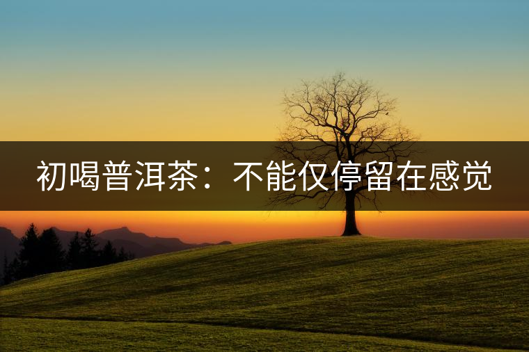 初喝普洱茶：不能僅停留在感覺