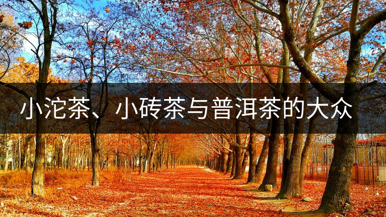 小沱茶、小磚茶與普洱茶的大眾化之路