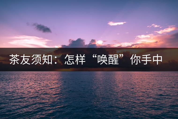 茶友須知：怎樣“喚醒”你手中的那一餅普洱茶？