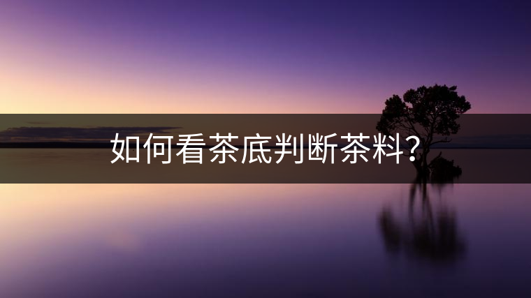如何看茶底判斷茶料？