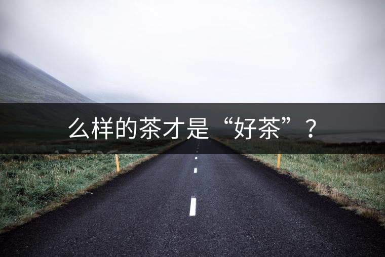 么樣的茶才是“好茶”？