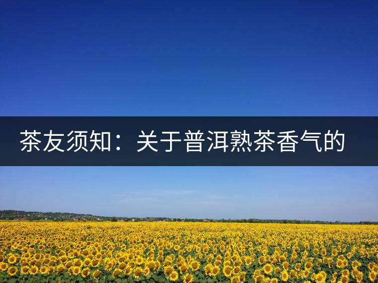 茶友須知:關(guān)于普洱熟茶香氣的“秘密” 茶友須知:關(guān)于普洱熟茶香氣的“秘密”