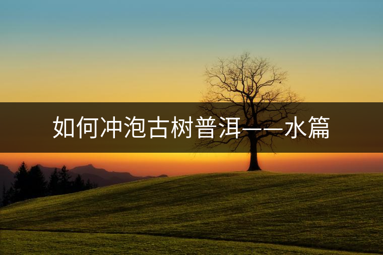 如何沖泡古樹普洱——水篇 如何沖泡古樹普洱——水篇