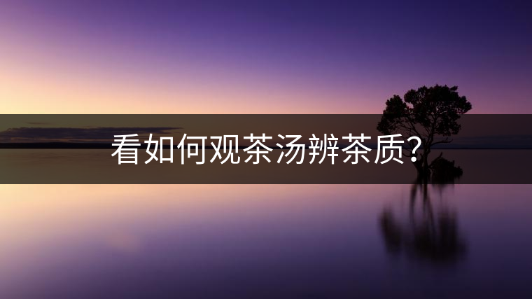 看如何觀茶湯辨茶質？