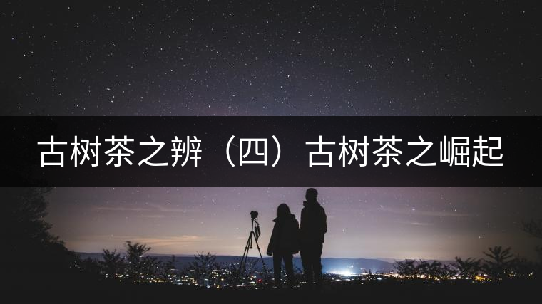 古樹茶之辨（四）古樹茶之崛起