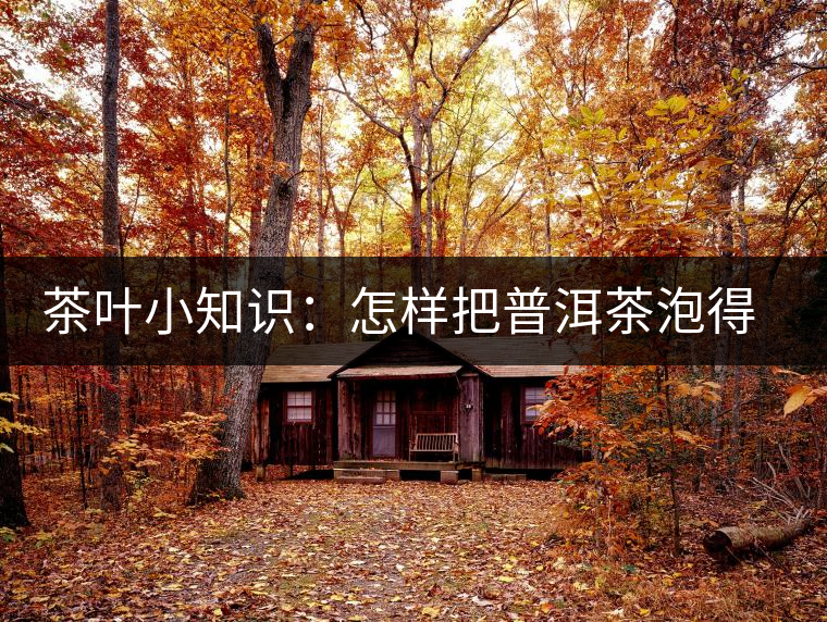 茶葉小知識(shí)：怎樣把普洱茶泡得更有味