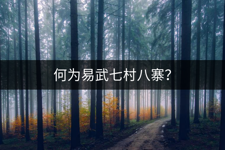 何為易武七村八寨？