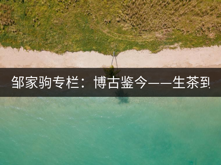 鄒家駒專(zhuān)欄：博古鑒今——生茶到底是不是普洱茶？