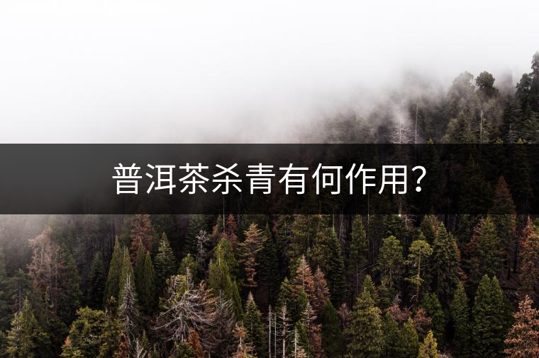 普洱茶殺青有何作用？