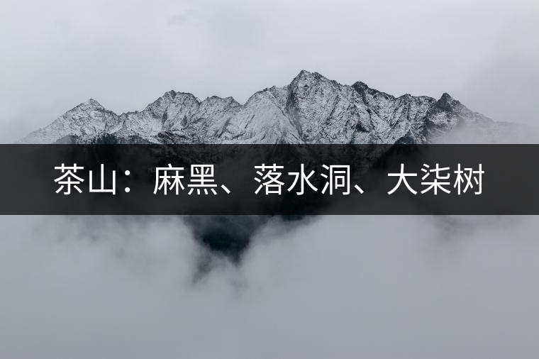 茶山：麻黑、落水洞、大柒樹