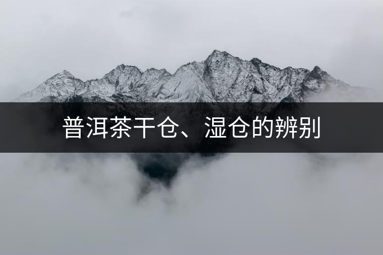 普洱茶干倉、濕倉的辨別