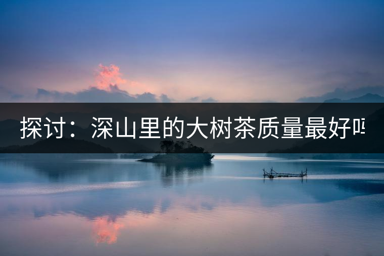 探討：深山里的大樹茶質量最好嗎？