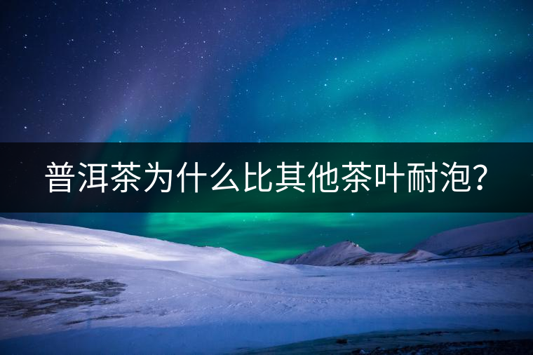 普洱茶為什么比其他茶葉耐泡？