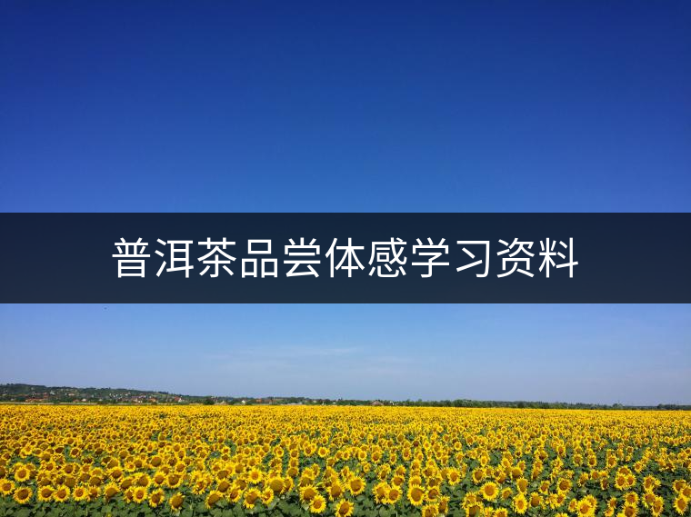 普洱茶品嘗體感學(xué)習(xí)資料