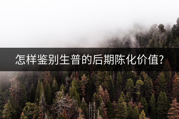 怎樣鑒別生普的后期陳化價(jià)值?