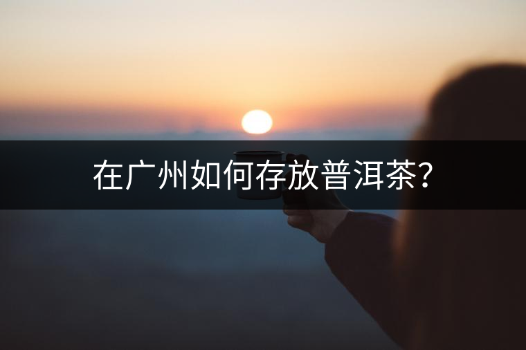在廣州如何存放普洱茶？