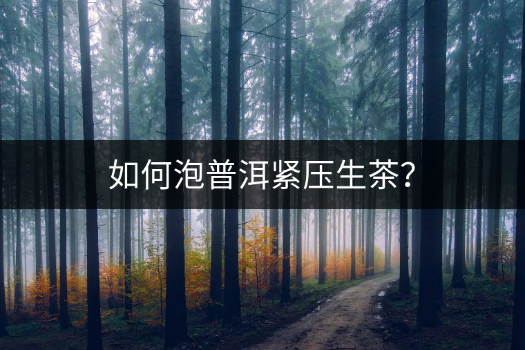 如何泡普洱緊壓生茶？