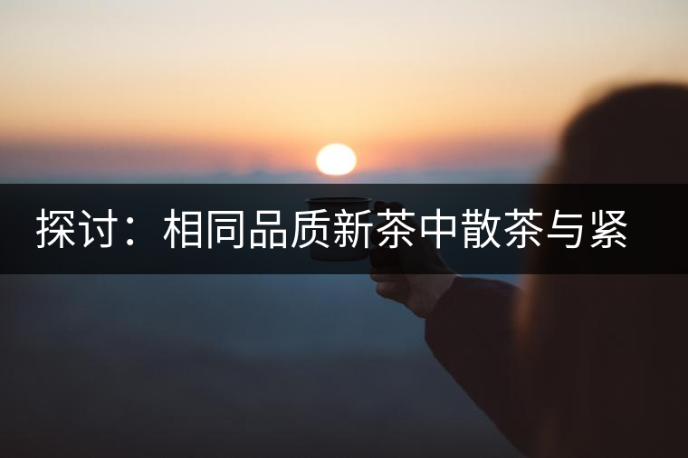 探討：相同品質(zhì)新茶中散茶與緊壓茶哪個好？