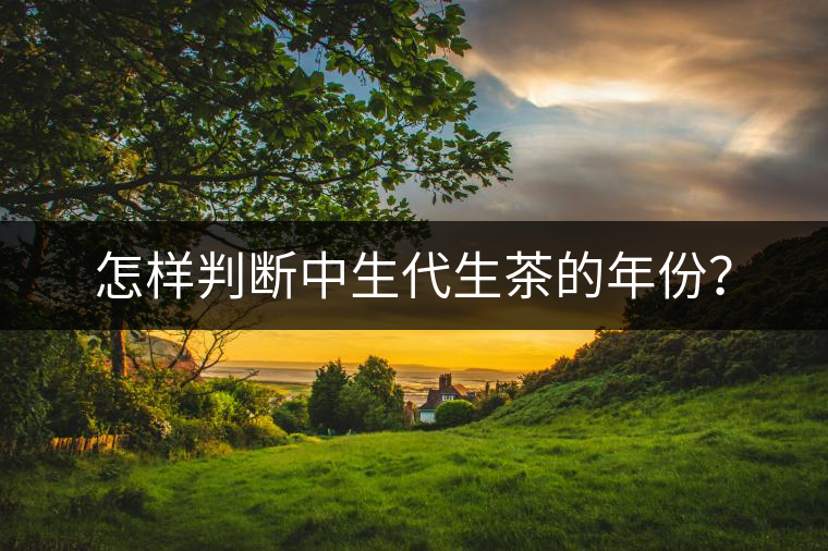 怎樣判斷中生代生茶的年份？