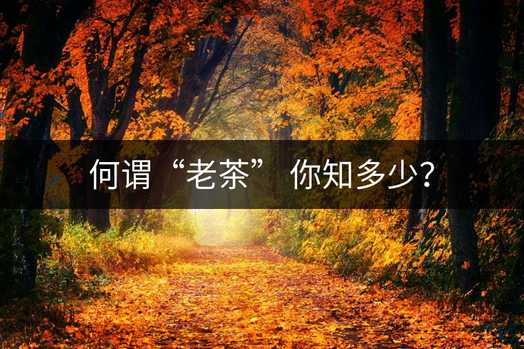 何謂“老茶” 你知多少？