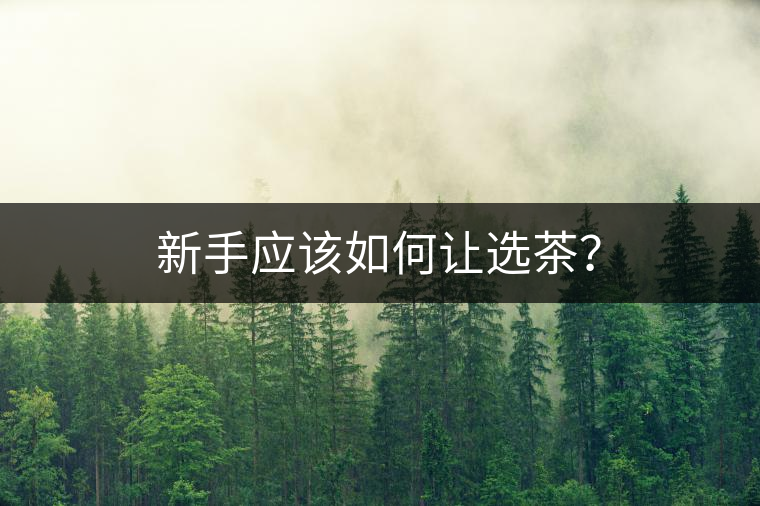 新手應(yīng)該如何讓選茶？