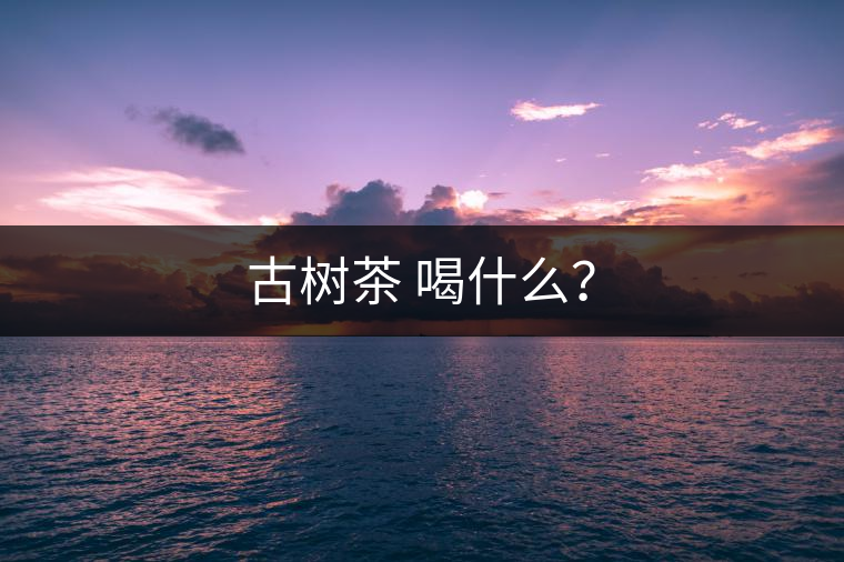 古樹茶 喝什么？