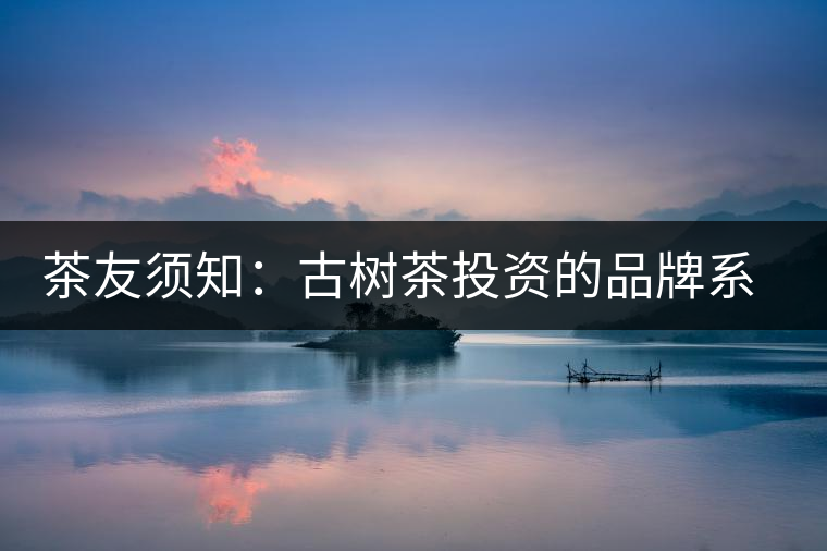 茶友須知:古樹(shù)茶投資的品牌系數(shù)分析 茶友須知:古樹(shù)茶投資的品牌系數(shù)分析