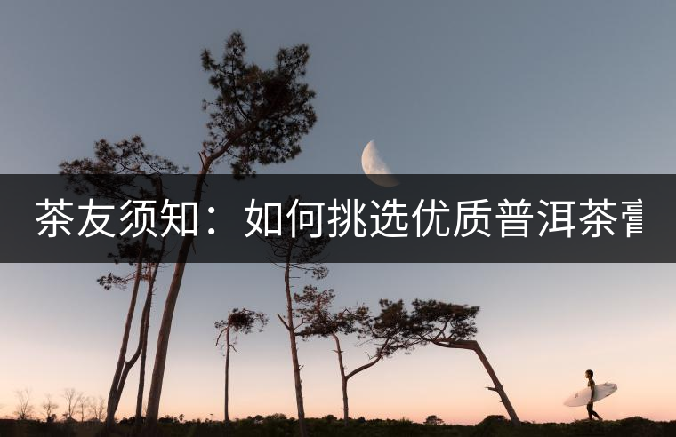 茶友須知：如何挑選優(yōu)質普洱茶膏？