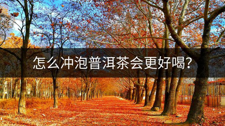怎么沖泡普洱茶會(huì)更好喝？