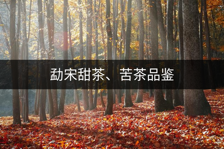 勐宋甜茶、苦茶品鑒