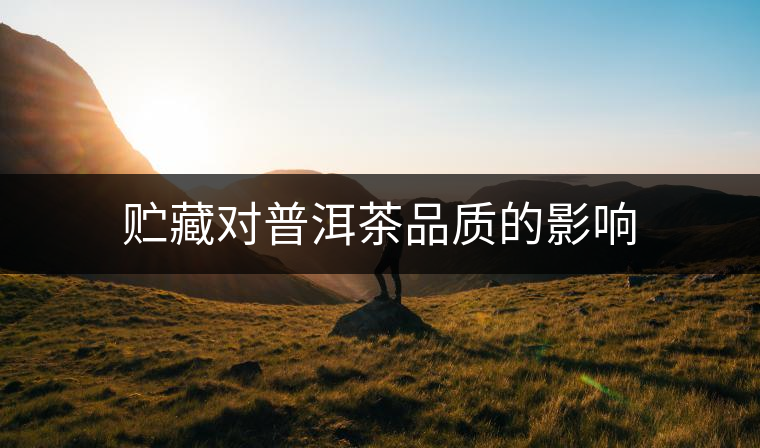 貯藏對(duì)普洱茶品質(zhì)的影響 貯藏對(duì)普洱茶品質(zhì)的影響