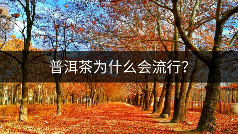 普洱茶為什么會(huì)流行？