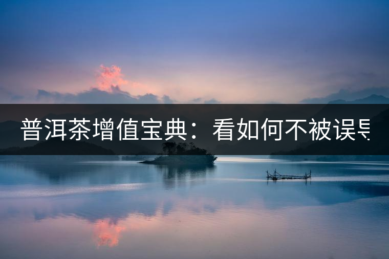 普洱茶增值寶典：看如何不被誤導(dǎo)？