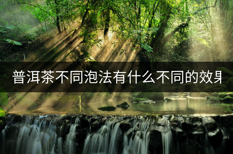 普洱茶不同泡法有什么不同的效果？