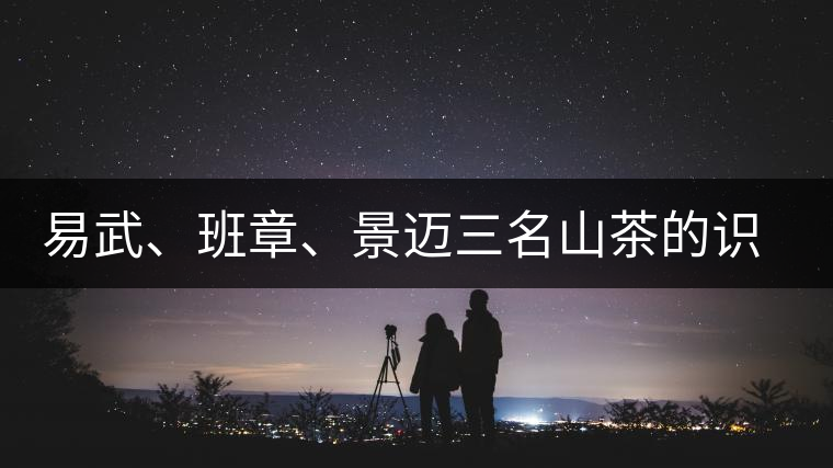 易武、班章、景邁三名山茶的識別