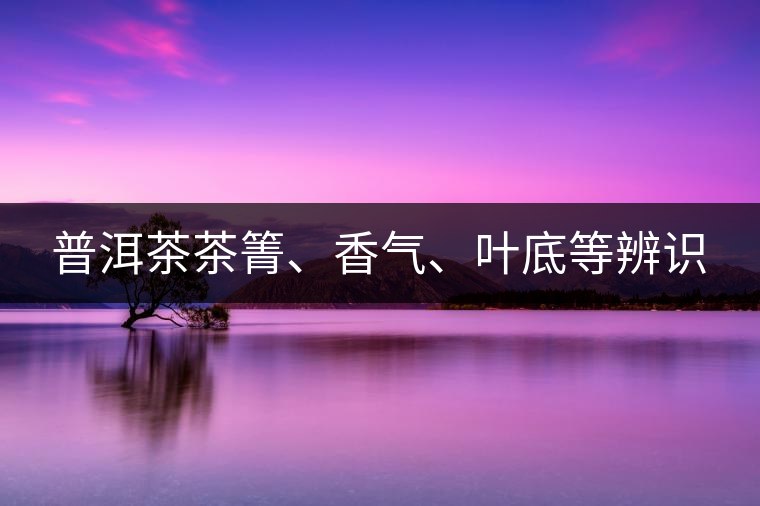 普洱茶茶箐、香氣、葉底等辨識(shí)