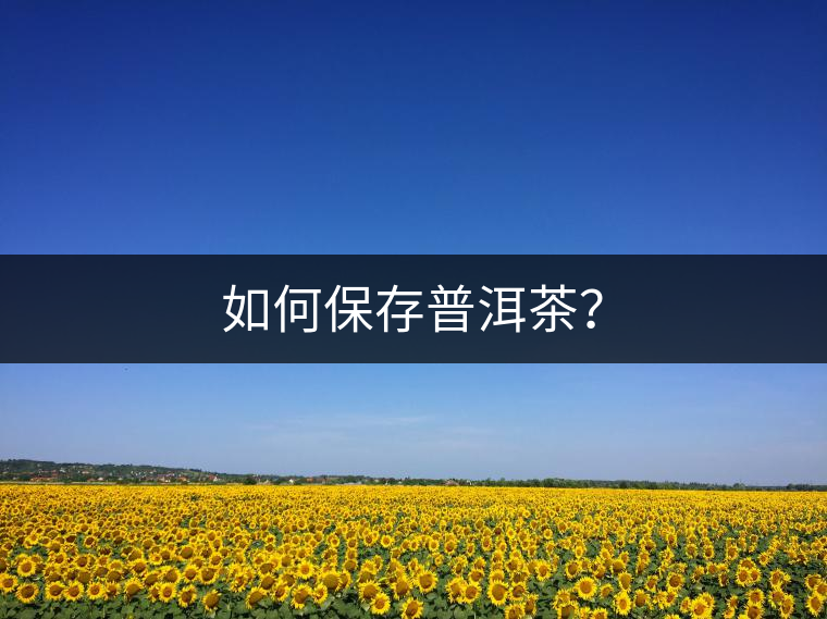 如何保存普洱茶？