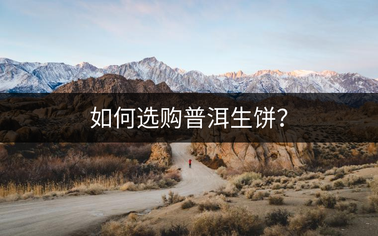 如何選購普洱生餅？