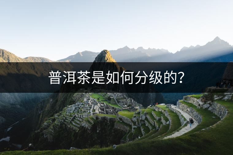 普洱茶是如何分級的？