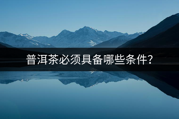 普洱茶必須具備哪些條件？