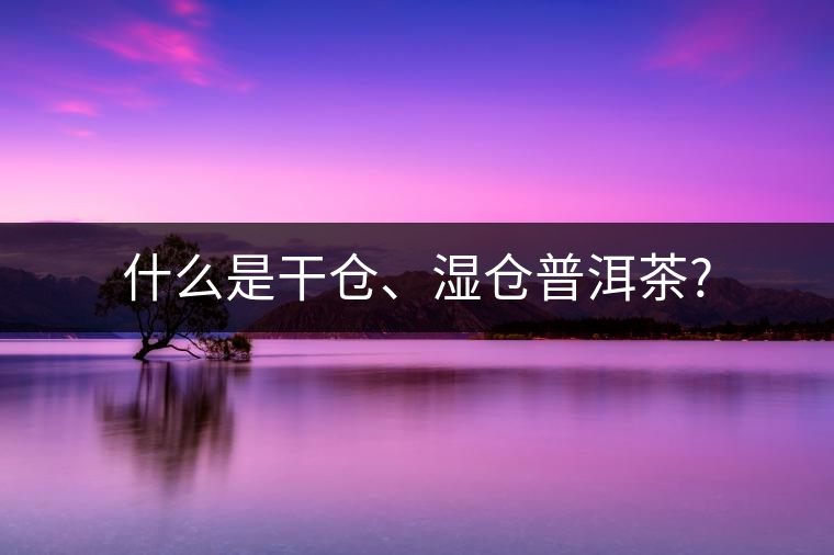 什么是干倉、濕倉普洱茶?