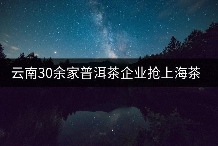 云南30余家普洱茶企業(yè)搶上海茶展展位 云南30余家普洱茶企業(yè)搶上海茶展展位