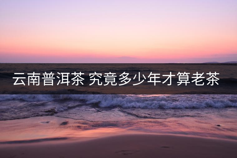 云南普洱茶 究竟多少年才算老茶樹? 云南普洱茶 究竟多少年才算老茶樹?