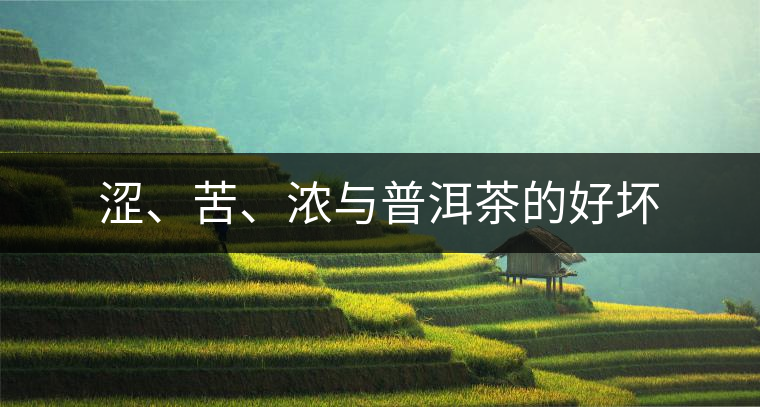 澀、苦、濃與普洱茶的好壞